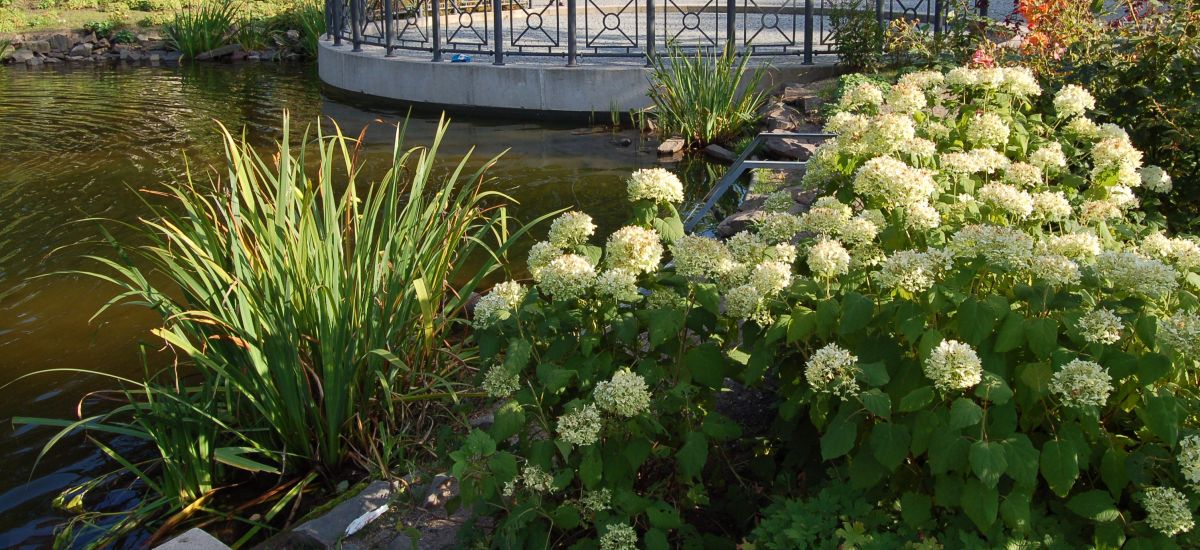 Stadtpark im Sommer.