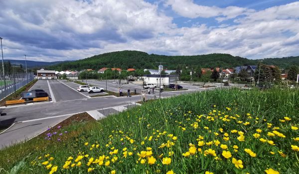 Im Vordergrund ist eine Wiese mit gelben Blumen. Dahinter befindet sich ein Parkplatz. In der Ferne sieht man Häuser und Wälder.