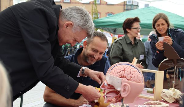Auf einem Tisch stehen Biologiemodelle. Ein Mann steht davor und baut eines der Modelle zusammen. Es ist der Bürgermeister Dr. Heiko Voigt.