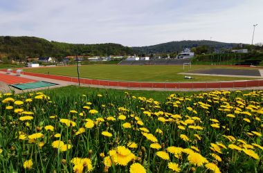 Im Hintergrund ein Sportplatz. Davor eine Wiese mit gelbem Löwenzahn.