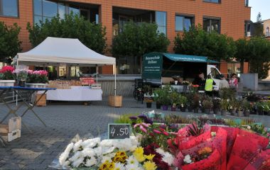 Verschiedene Marktstände mit Grünpflanzen und Schnittblumen stehen in der Sonneberger Innenstadt