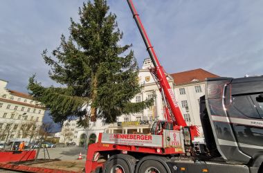 Vor dem Sonneberger Rathaus stellt ein Kran einen großen Weihnachtsbaum auf.