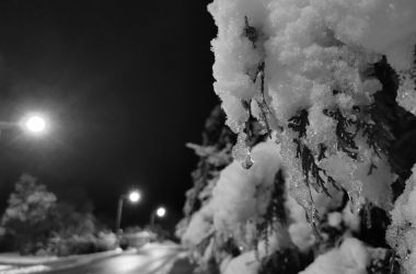 Schwarz-Weiß: Auf einer Hecke an der Straße liegt Schnee.