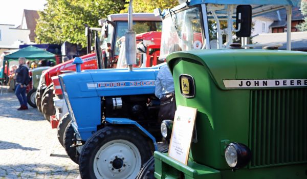 Ein grüner, ein blauer und rote Traktoren stehen aufgereiht vor einer Baumallee.