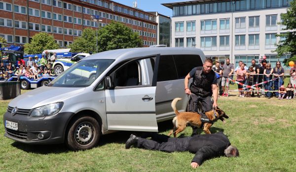 Ein Mann im Schutzanzug liegt auf einer Wiese. Daneben steht ein Polizsit mit Spürhund.