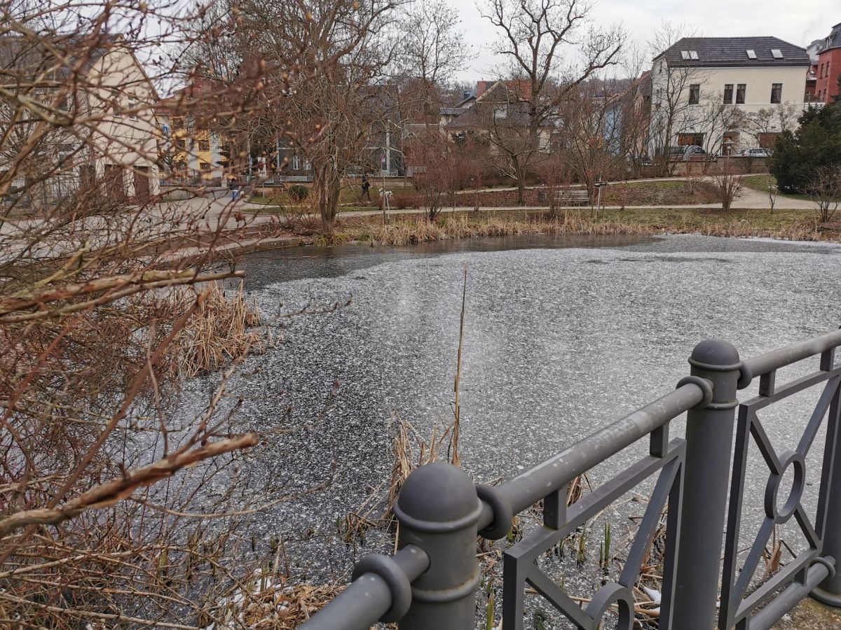 Der zugefrorene Teich im Stadtpark.