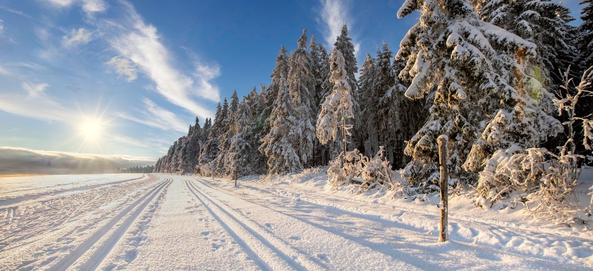 Eine verschneite Winterlandschaft mit Bäumen. Die Sonne geht auf.