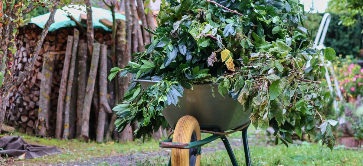 Schubkarre mit Grünschnitt.