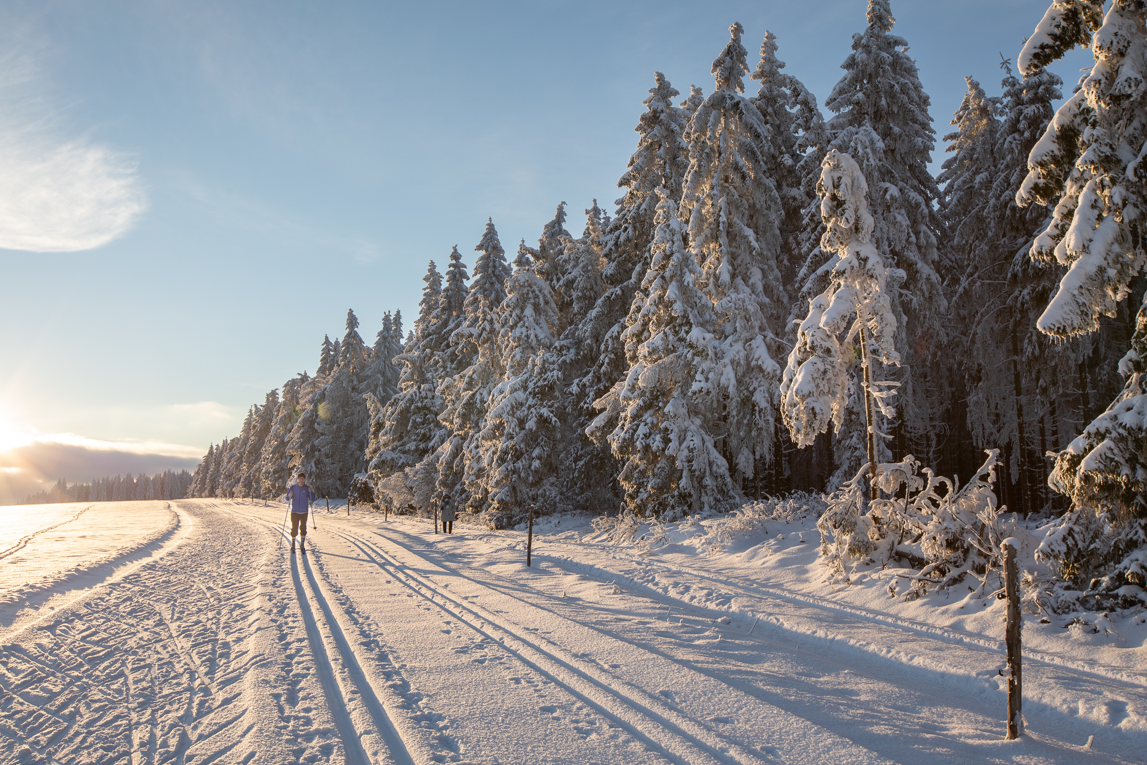 Auf einer verschneiten Wiese fährt jemand Ski. Rechts daneben ein Wald. Die Sonne scheint.