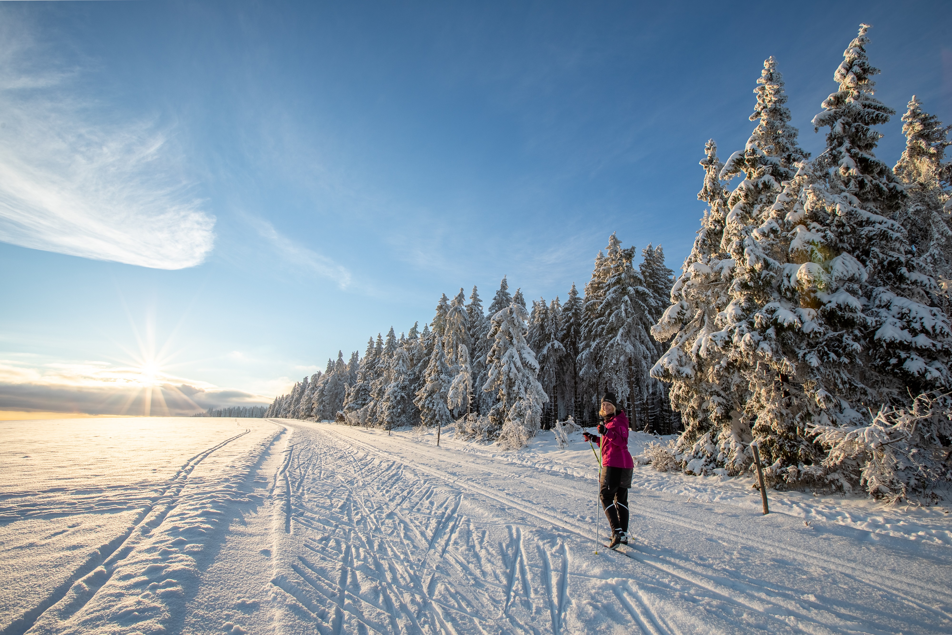 Auf einer verschneiten Wiese fährt jemand Ski. Rechts daneben ein Wald. Die Sonne scheint.