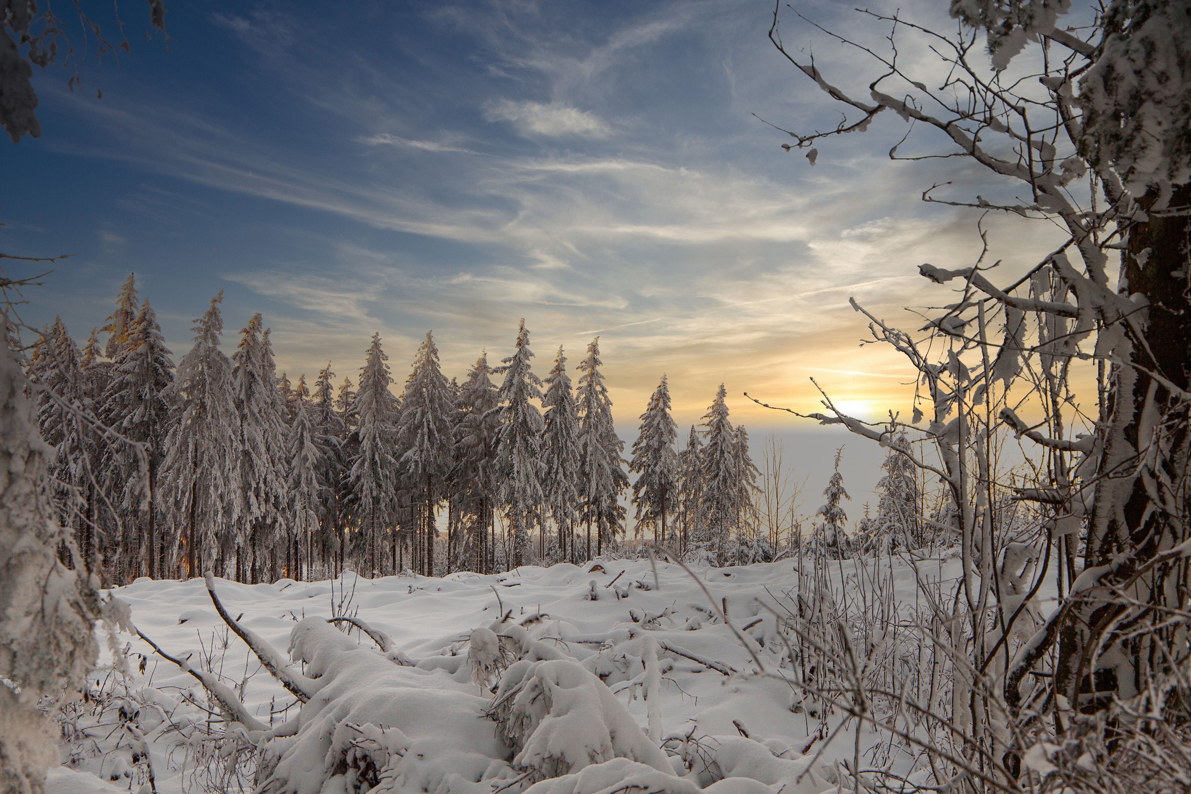 Eine verschneite Winterlandschaft mit Bäumen. Die Sonne geht auf.