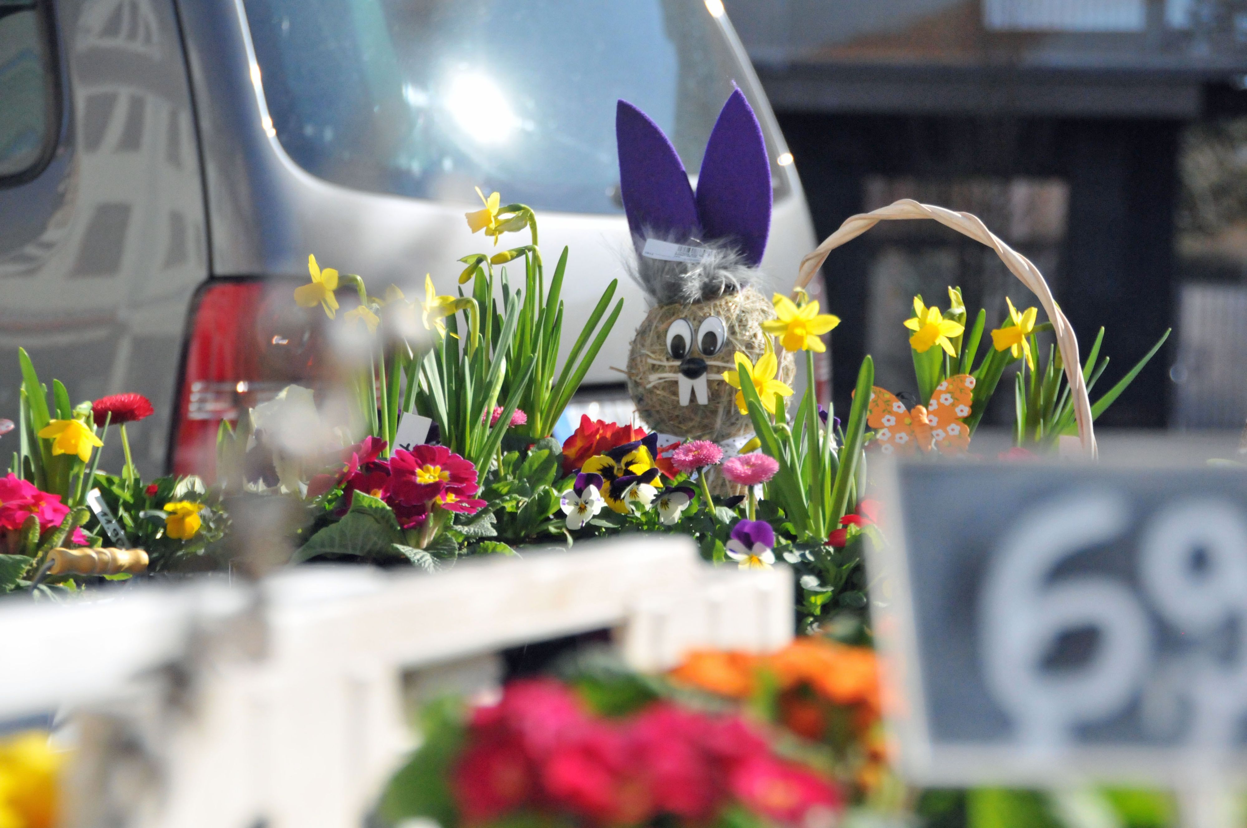 Bunte Blumen in Körben und Schalen.