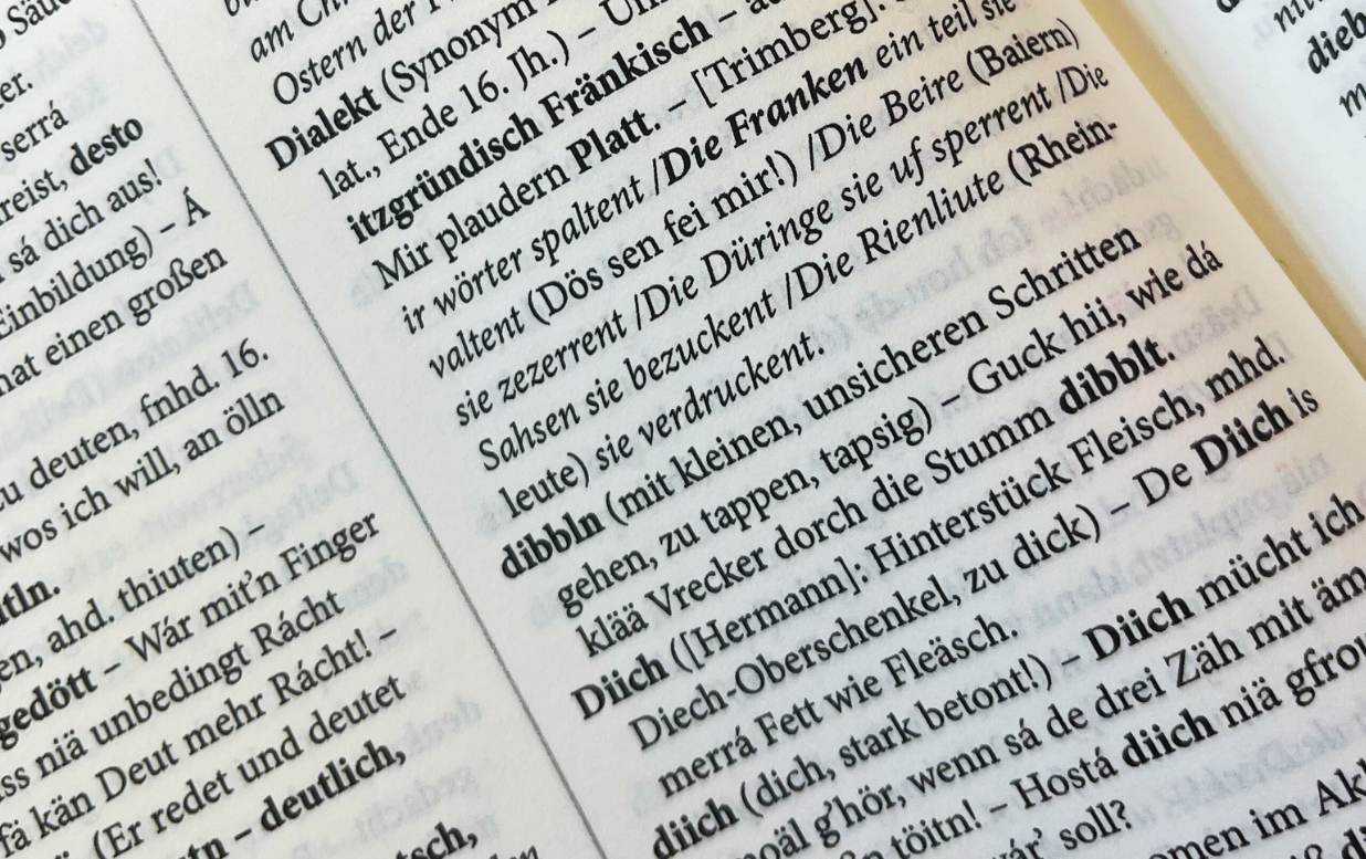 Ein Auszug von einer Seite eines Mundart-Wörterbuches ist abgebildet.