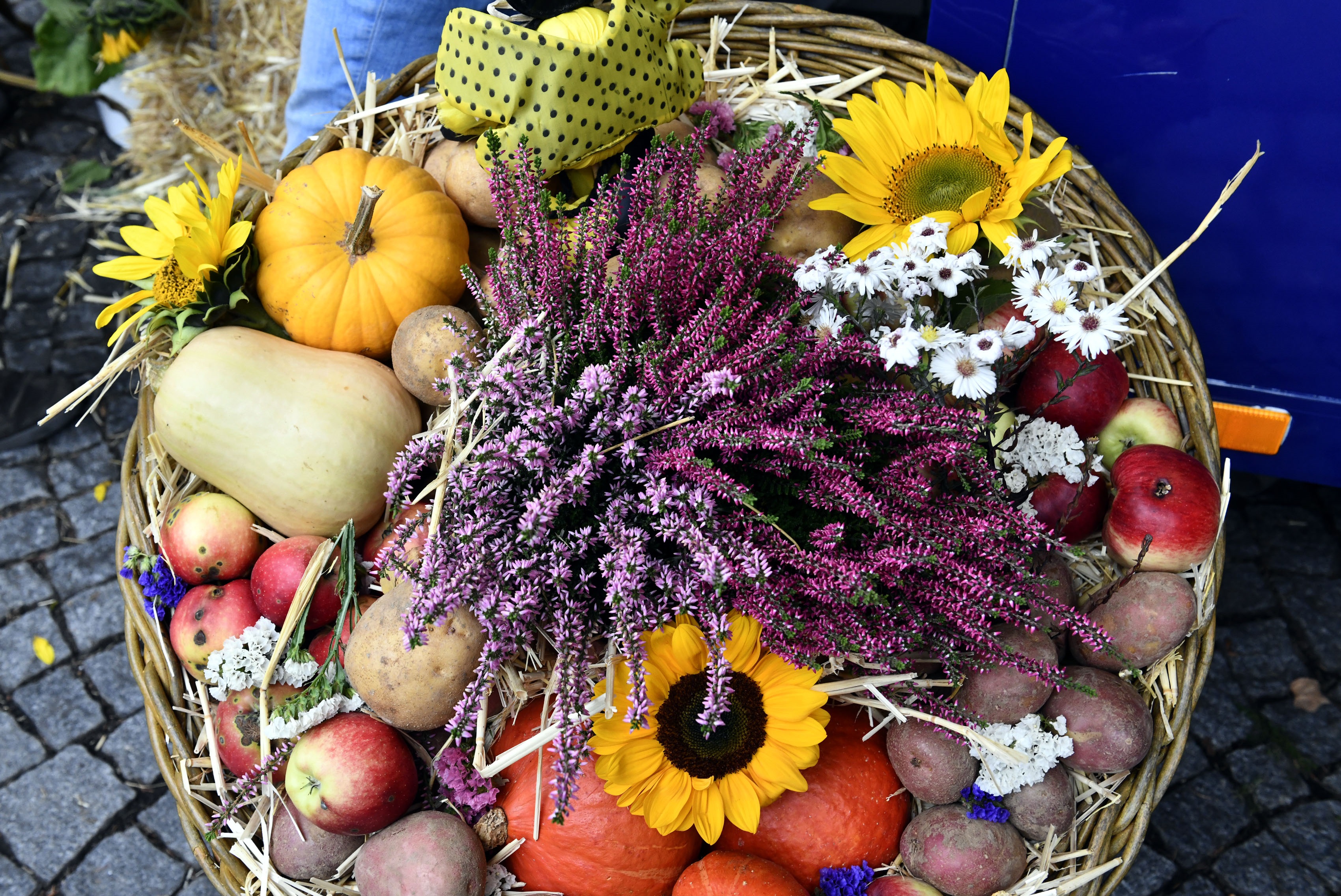 Ein herbstlicher Korb mit Obst und Gemüse.